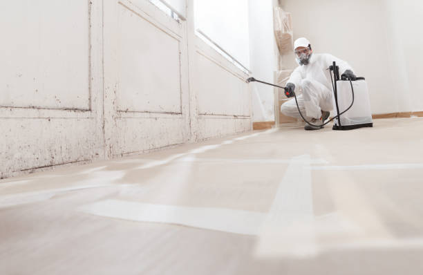 24/7 Emergency Mold Removal experts in Walpole, MA