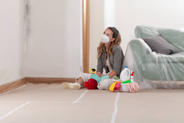 Reliable Mold Removal contractor in Walpole, MA by WQB Mold Removal